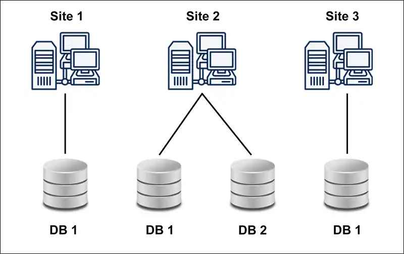 Multiple Database Systems