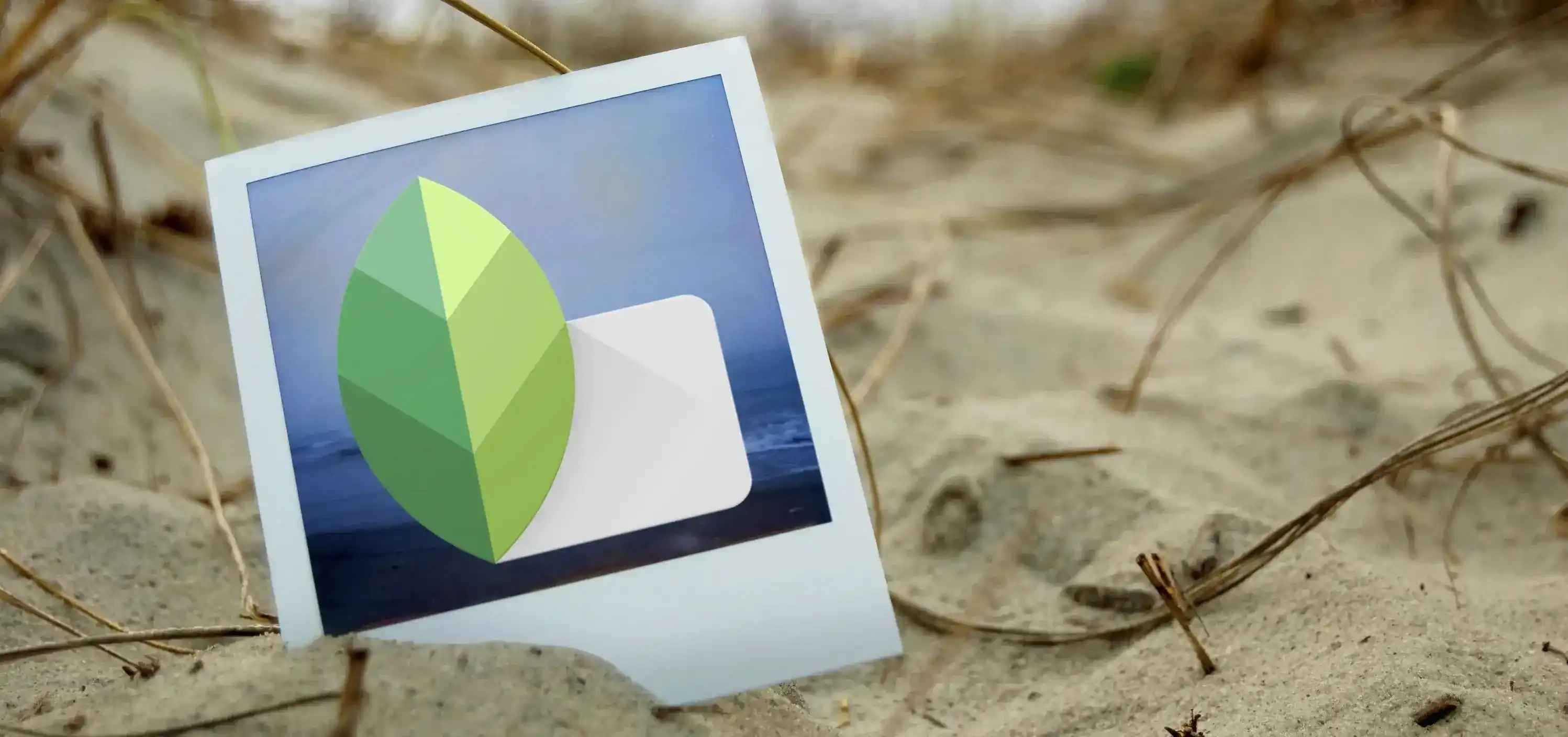 Snapseed Scanner: Turn Photos into Clean Digital Scans