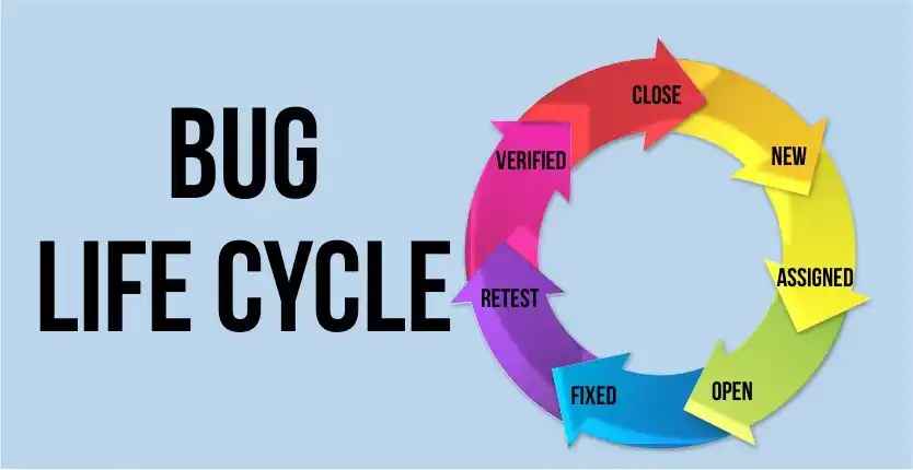Software Bug Life Cycle Complete Beginners Guide