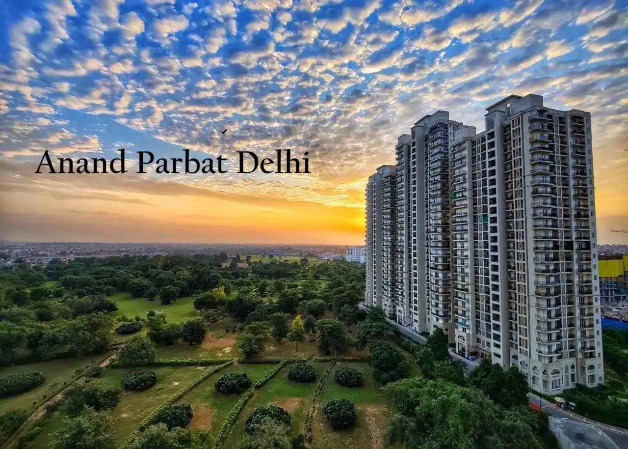Anand Parbat Delhi Locality Overview and Property Insights