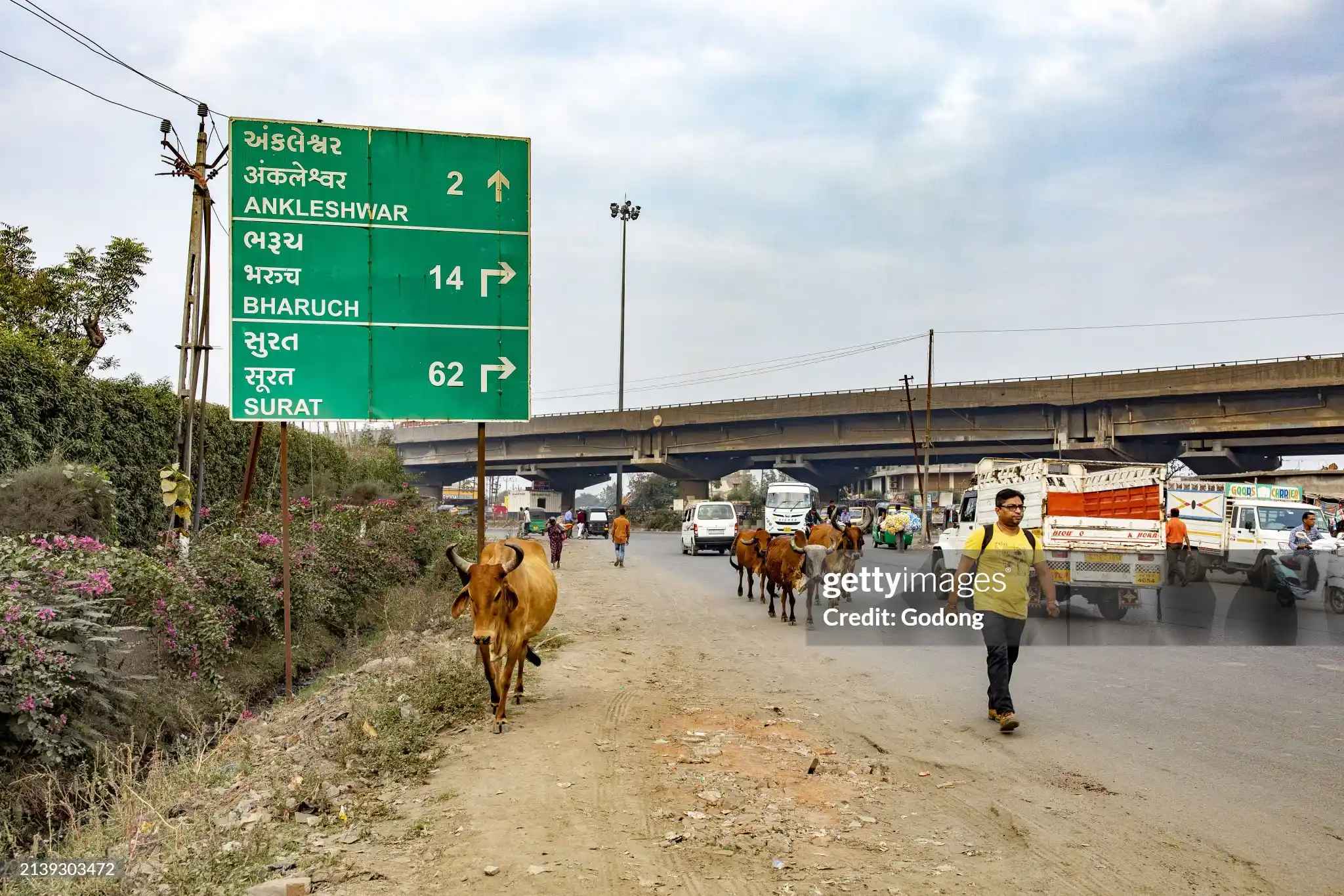 Overview of Ankleshwar