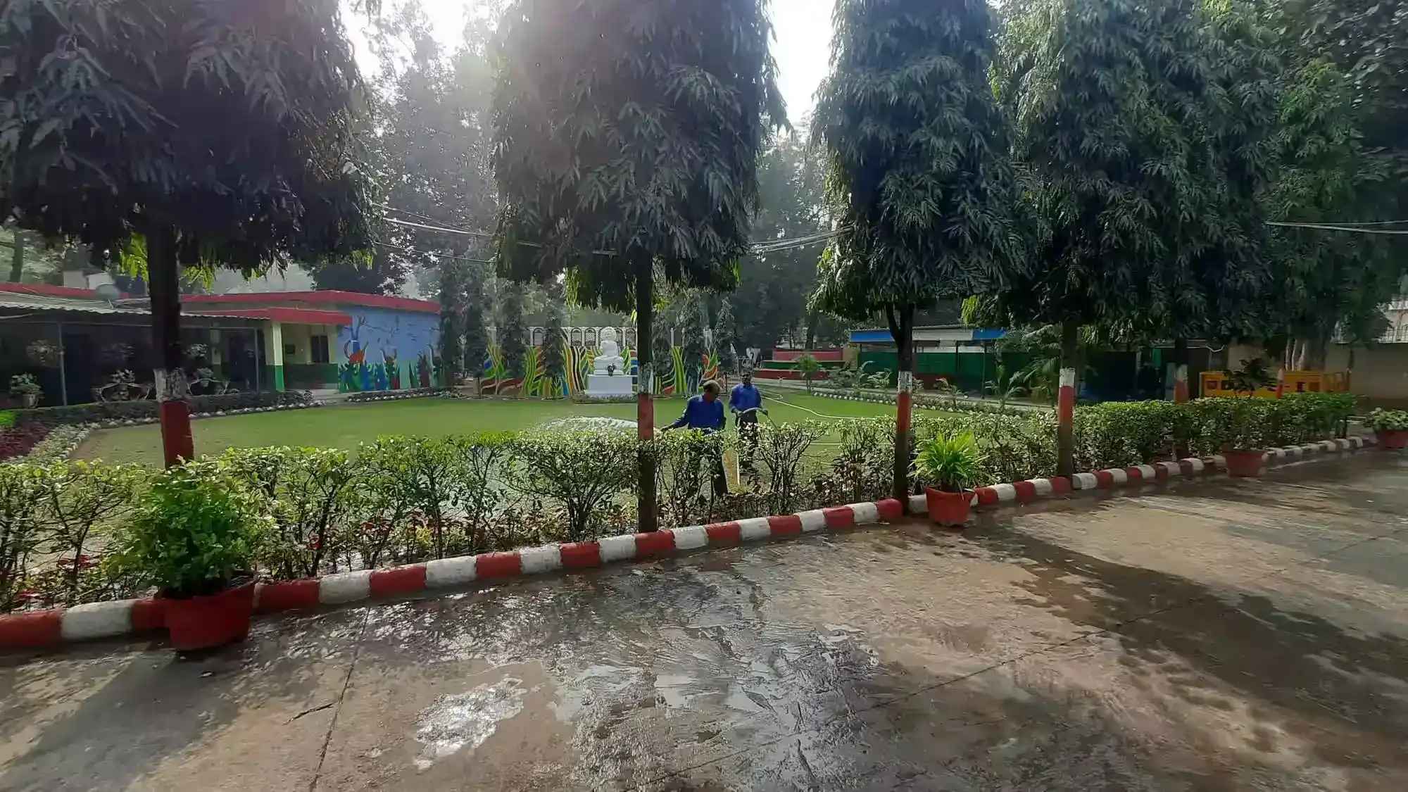 Education