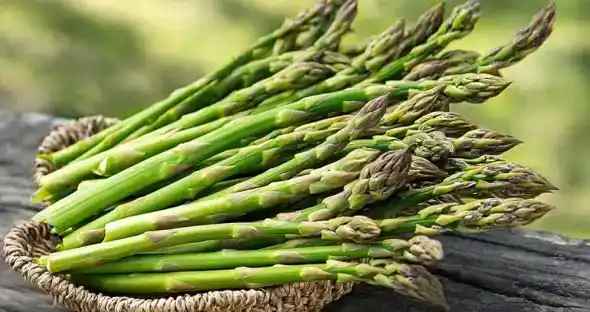 Growing Asparagus: Benefits, Types, and Feng Shui