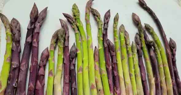 Asparagus plant