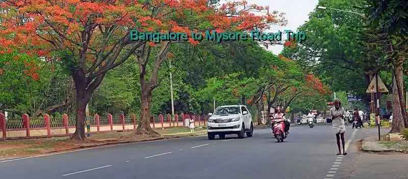 Bangalore to Mysore Road Trip – A Journey Through Beauty