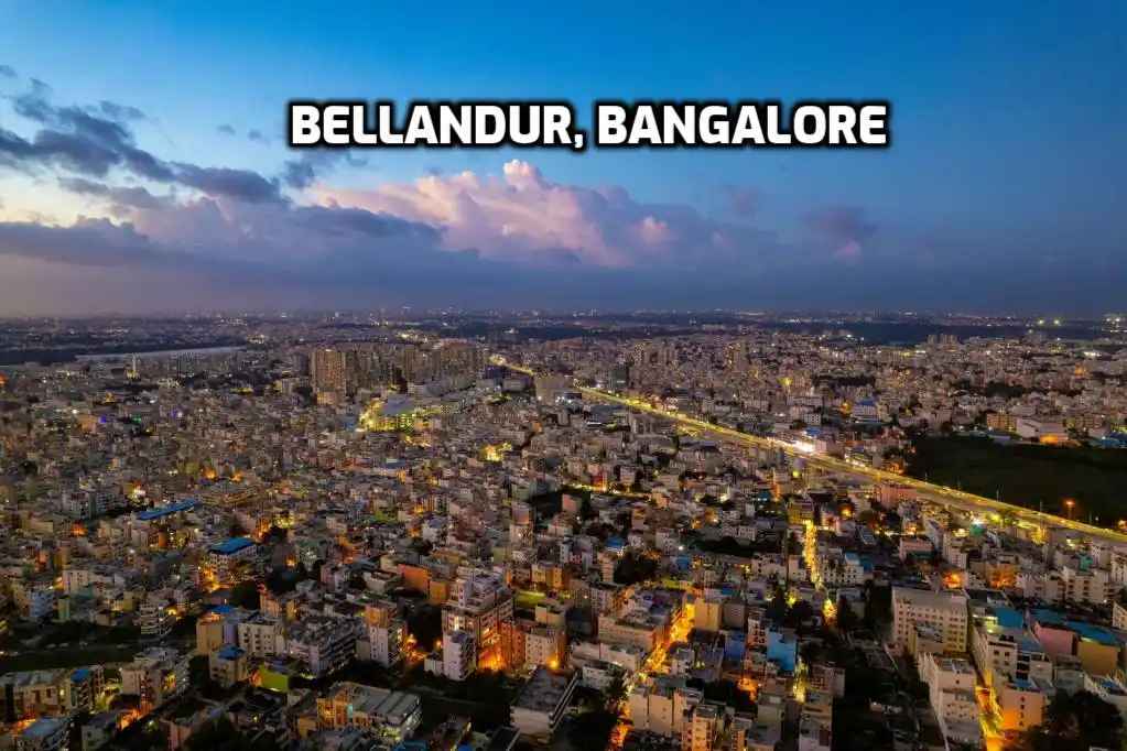 Bellandur: The Beating Heart of East Bangalore