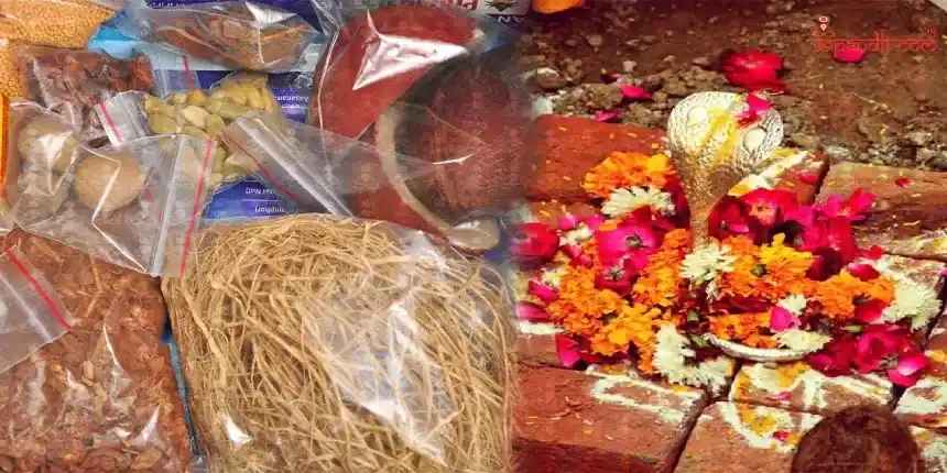 Bhoomi Poojan: Sowing Seeds of Spiritual Growth