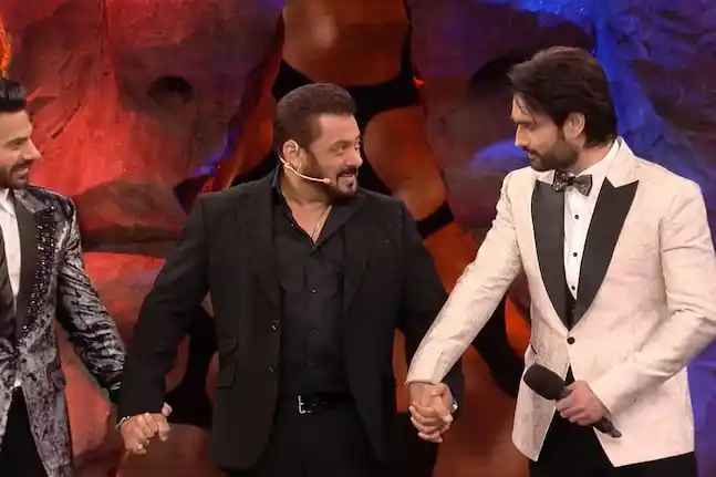 Runner-up: Vivian Dsena