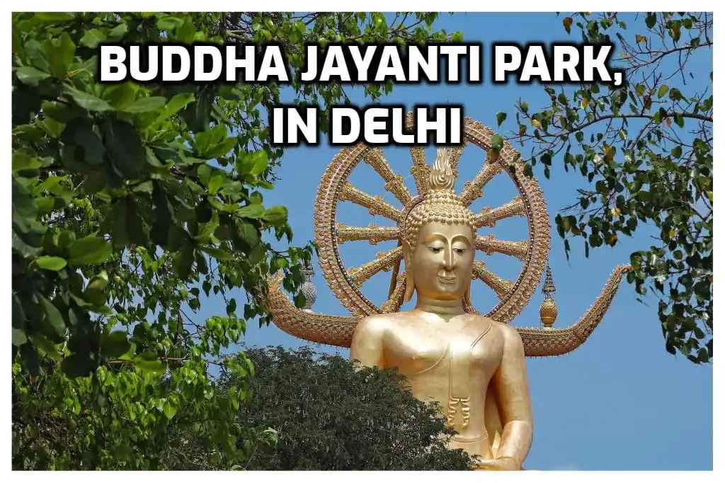 Buddha Jayanti Park: A Peaceful Green Retreat in Delhi
