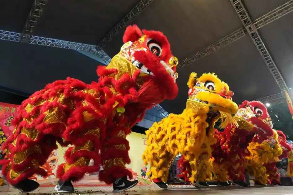 Dragon and Lion Dances