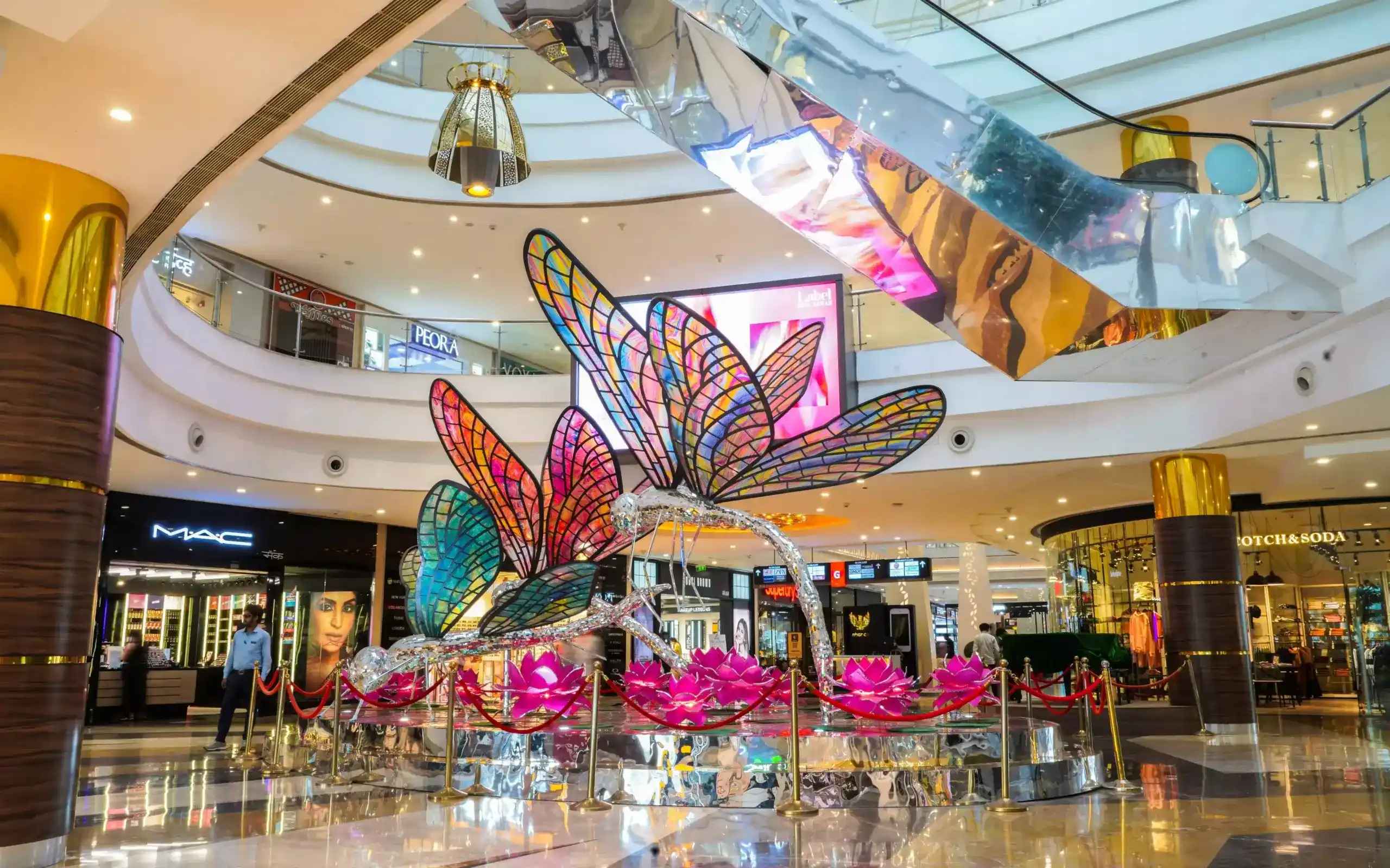 Shoppings and Entertainment