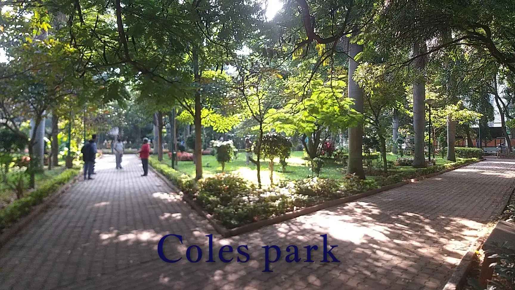 Coles Park, Bangalore: Complete Guide