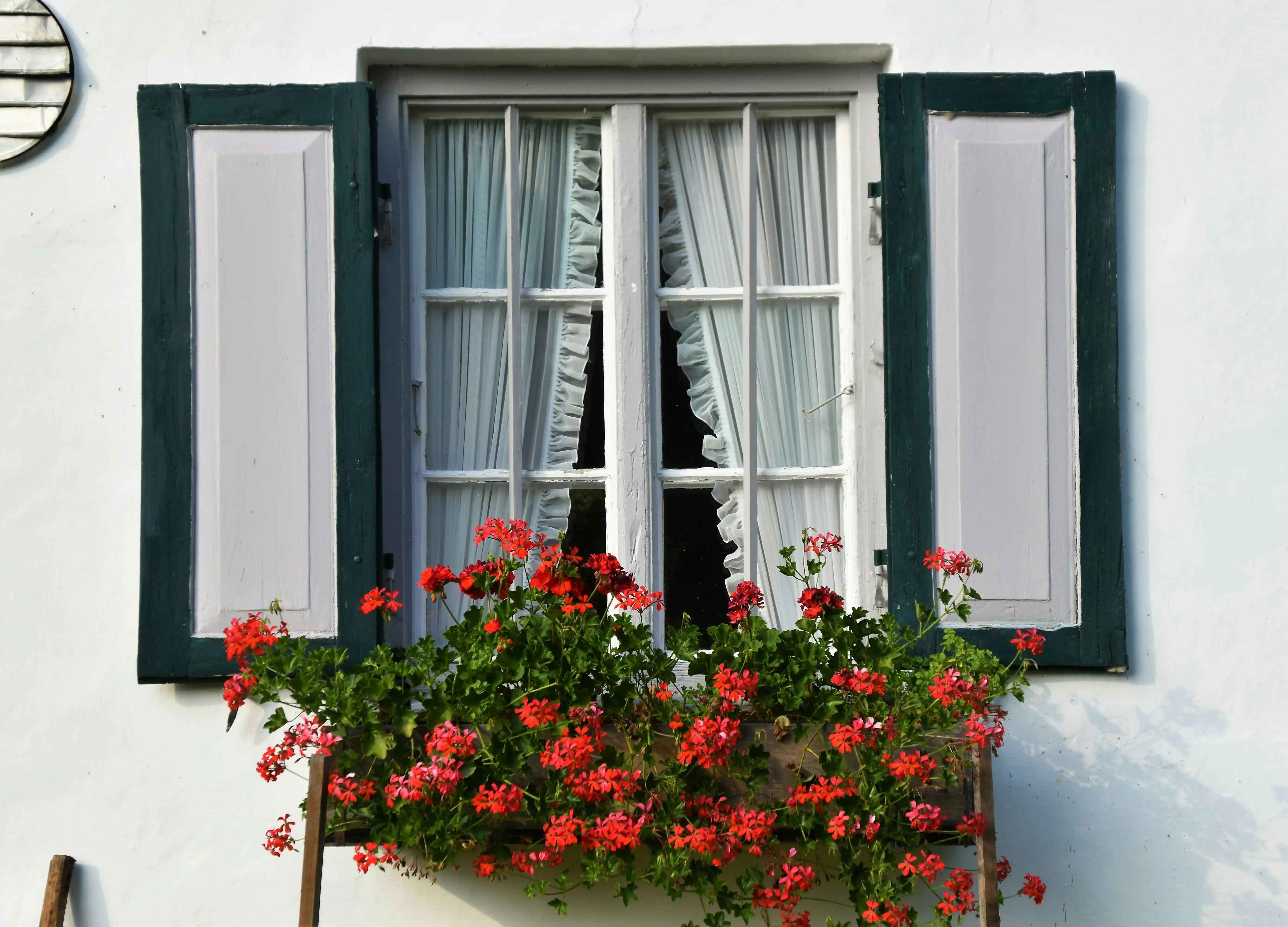 Windows Design Guide: Principles, Patterns, and Best Practices