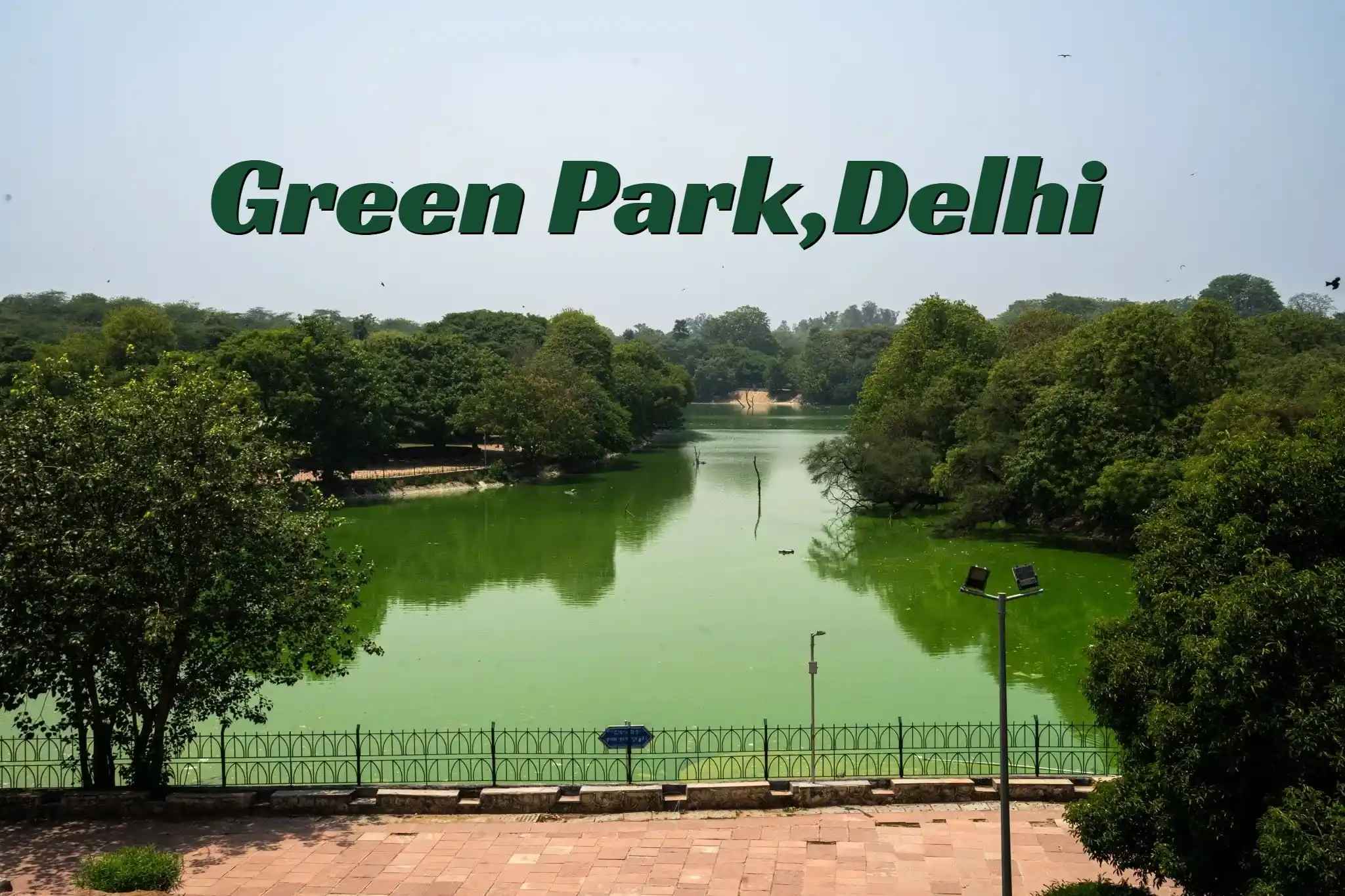 Green Park Delhi: Upscale South Delhi Locality