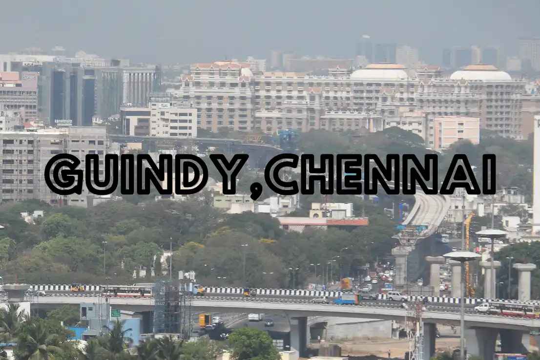 Guindy in Chennai: A Vibrant Neighborhood in Chennai