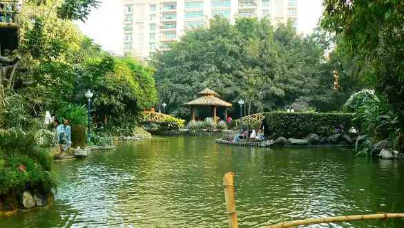 Nearby Attractions