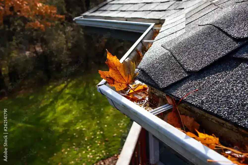 Essential Home Maintenance Tips