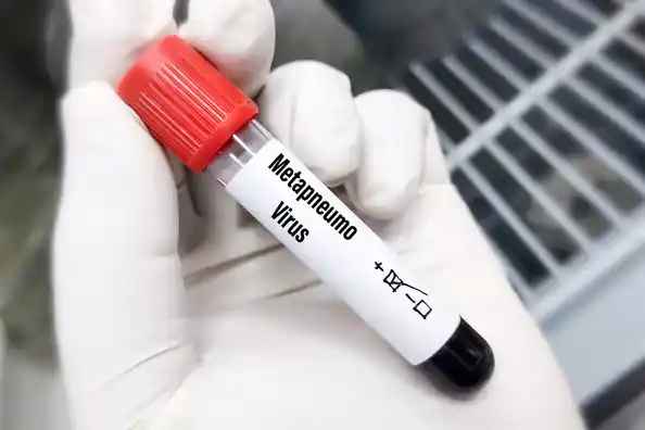 What is HMPV? A Brief Overview