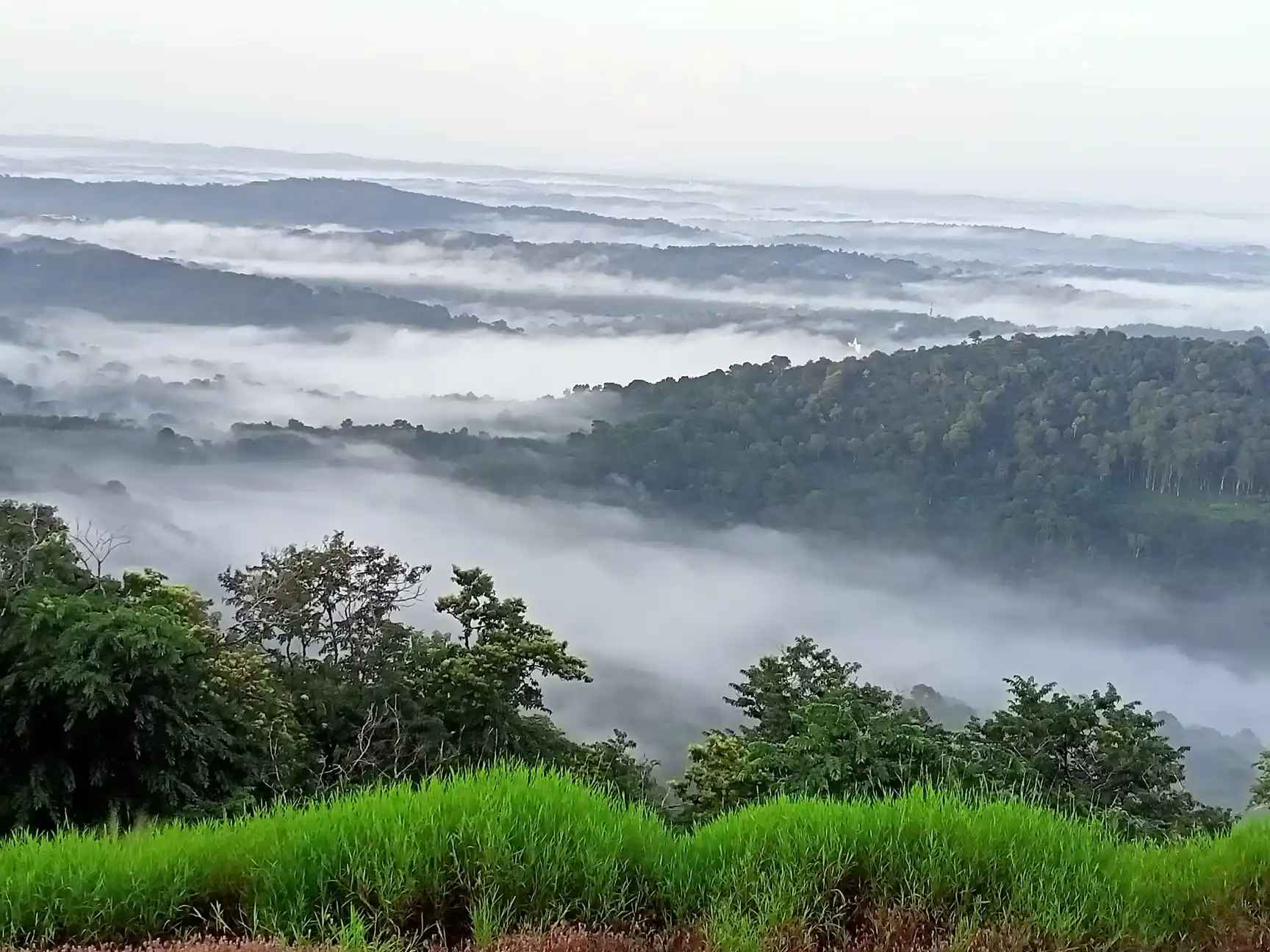Locality Image