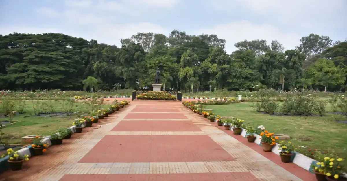 Locality Image