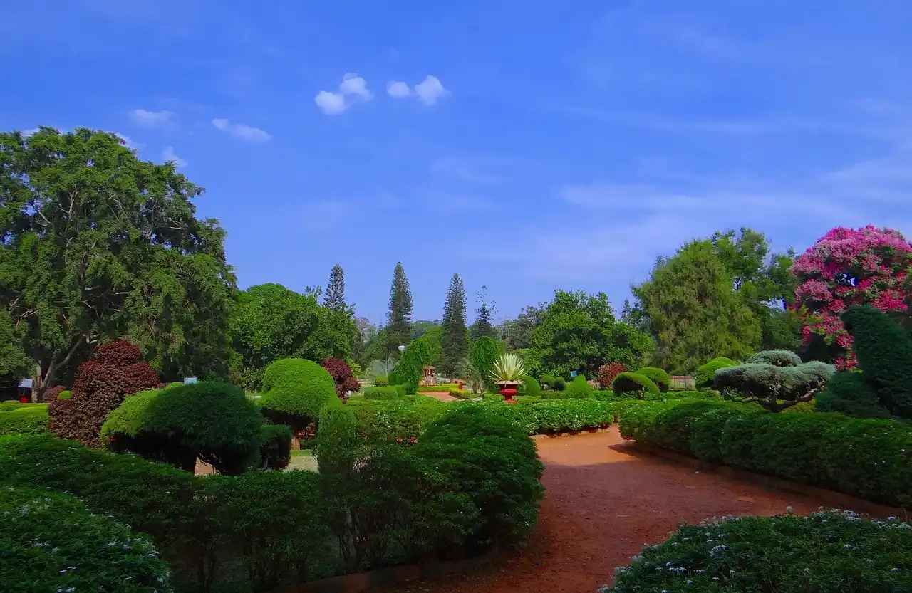 Lalbagh Road: Bangalore's Green Heartbeat