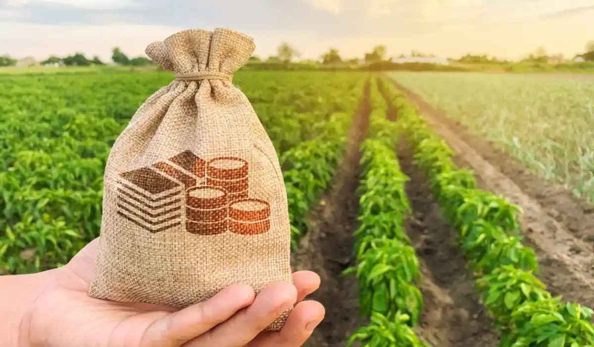 land-tax-kerala-legal