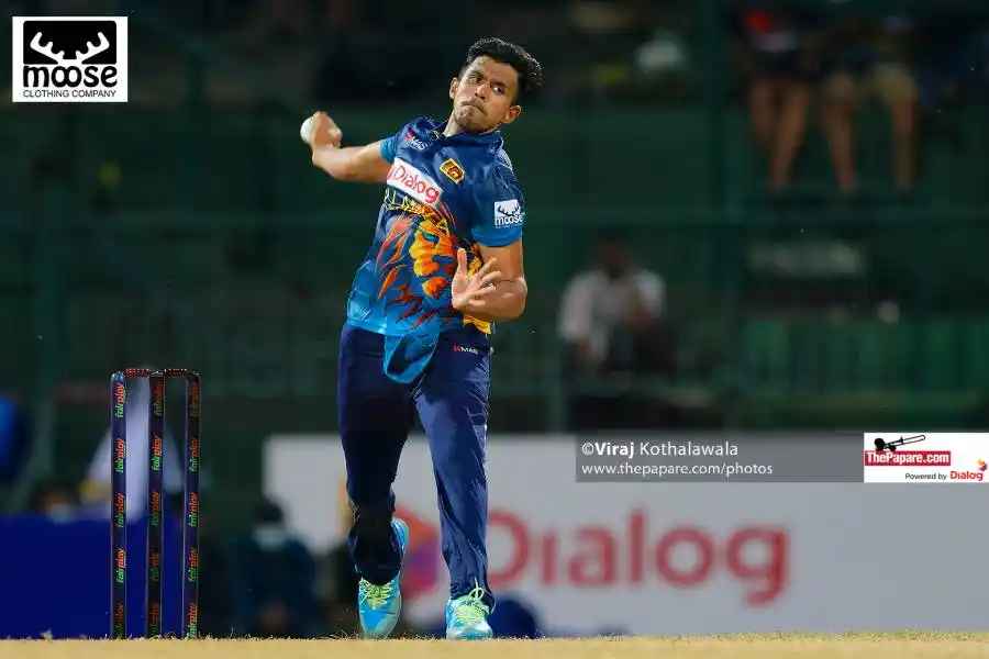 Domestic Cricket Career