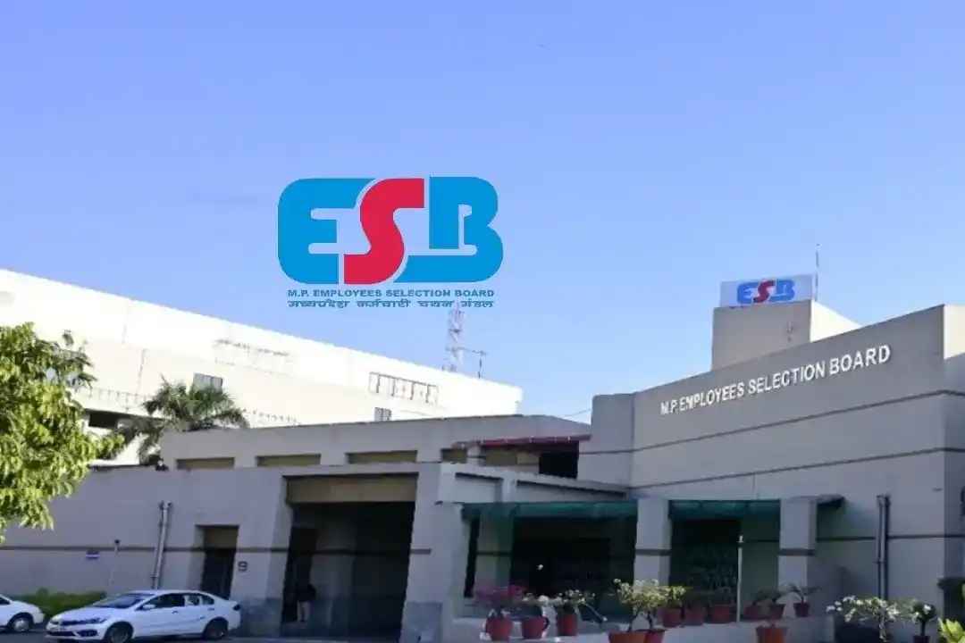MPESB Group 5 Recruitment: A Comprehensive Guide