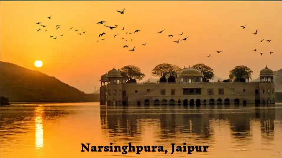 Narshinghpura Nawa Jaipur Real Estate