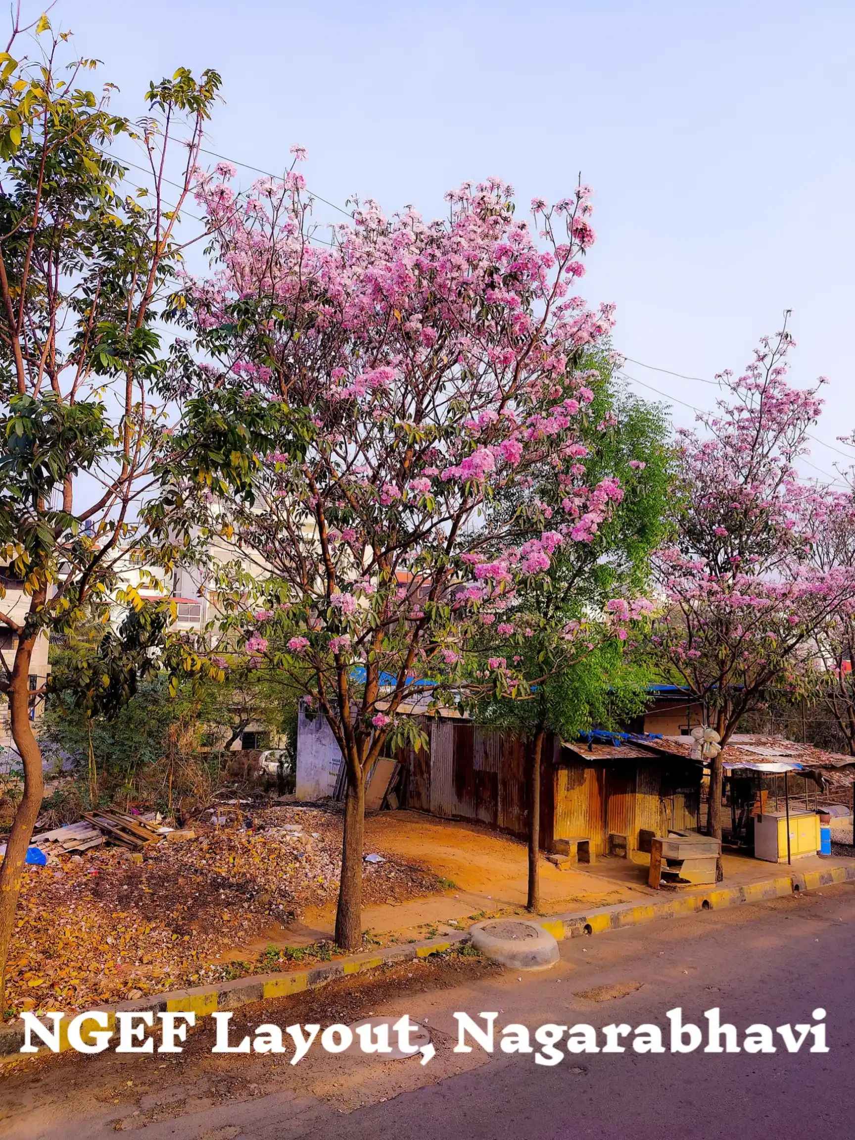 NGEF Layout Nagarabhavi, Bengaluru, Property Guide