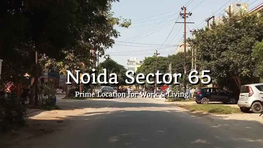 Noida Sector 65: Prime Location for Work & Living