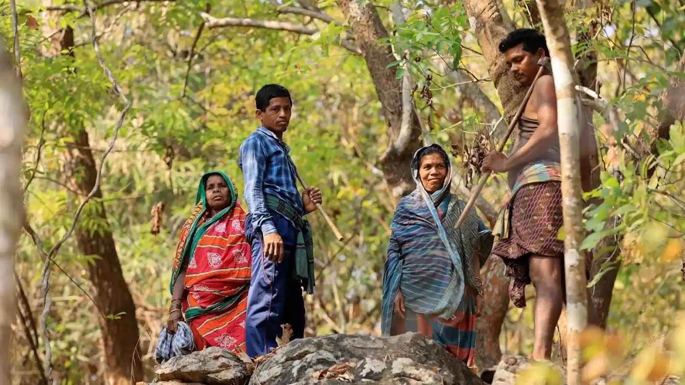 Land Record Verification in Odisha