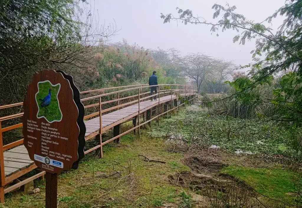 noida