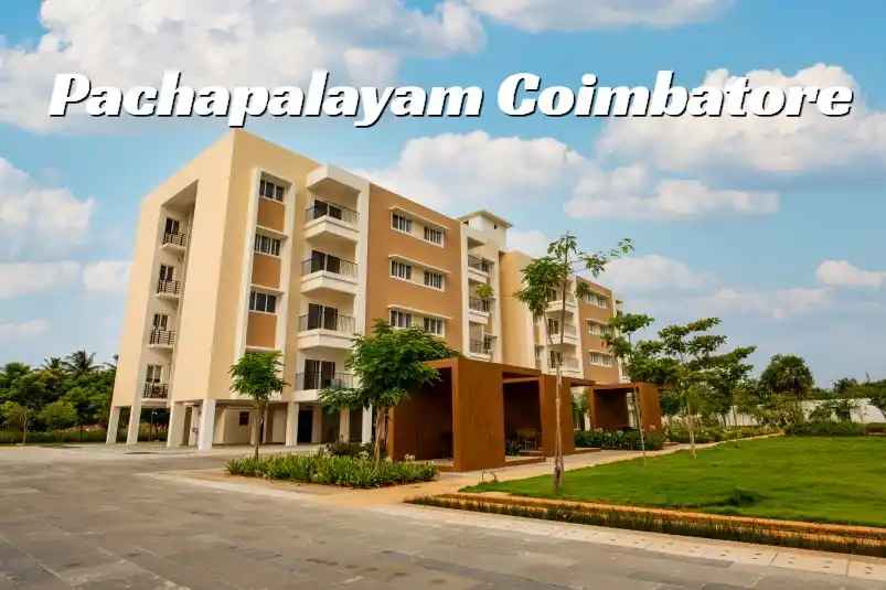 Pachapalayam, Coimbatore Locality Overview