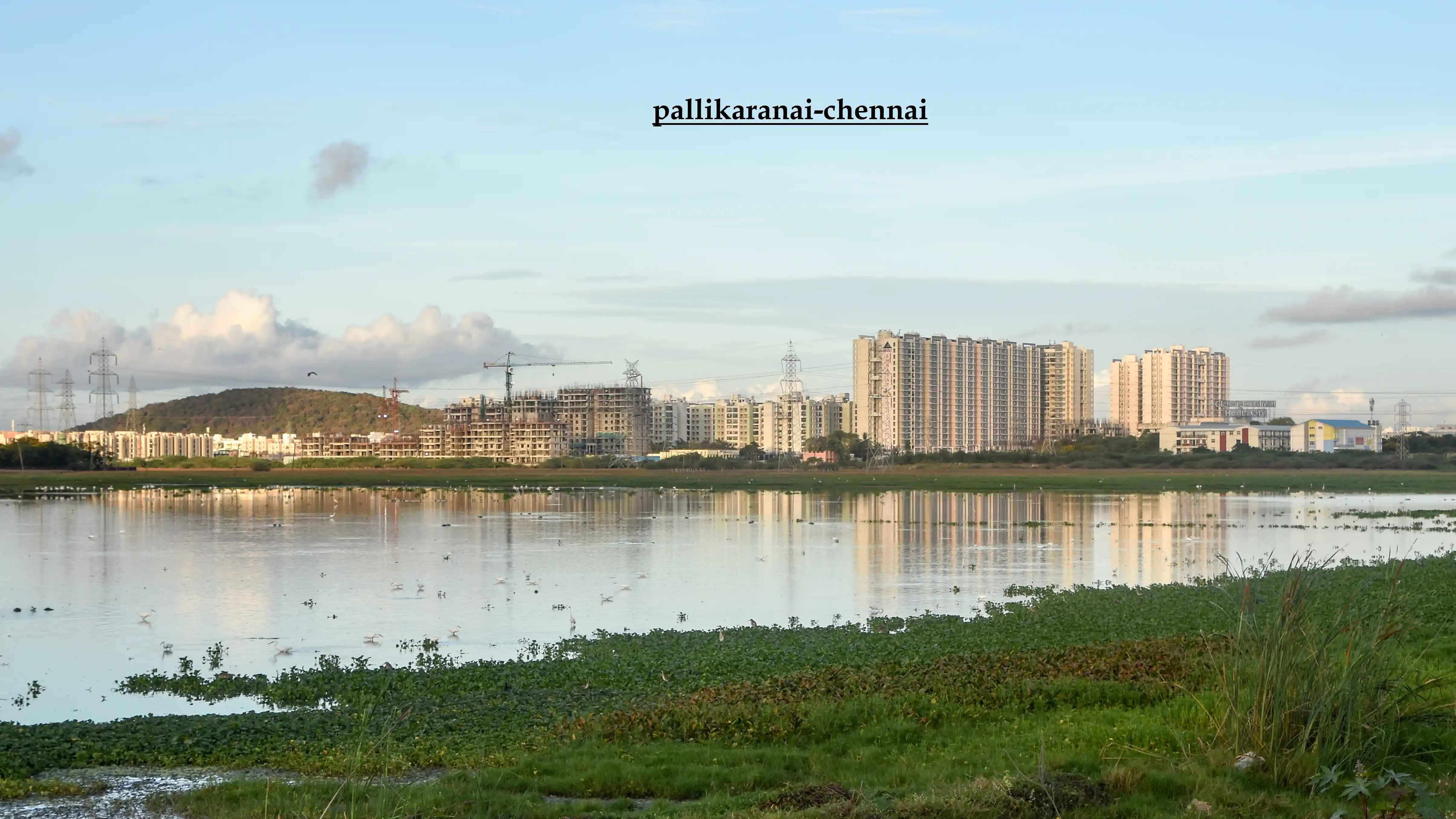 Pallikaranai, Chennai: Real Estate, IT Hub Connectivity