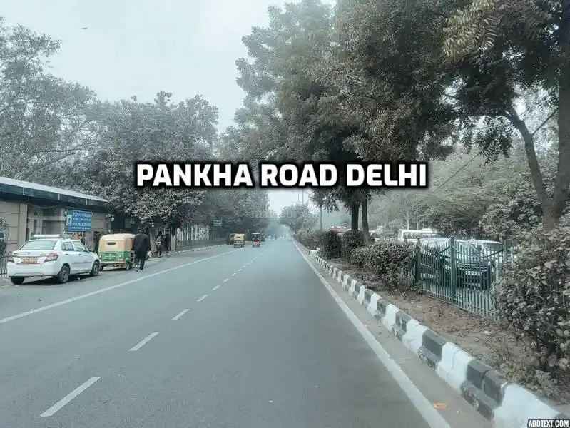 Pankha Road, Delhi: Real Estate & Lifestyle Guide