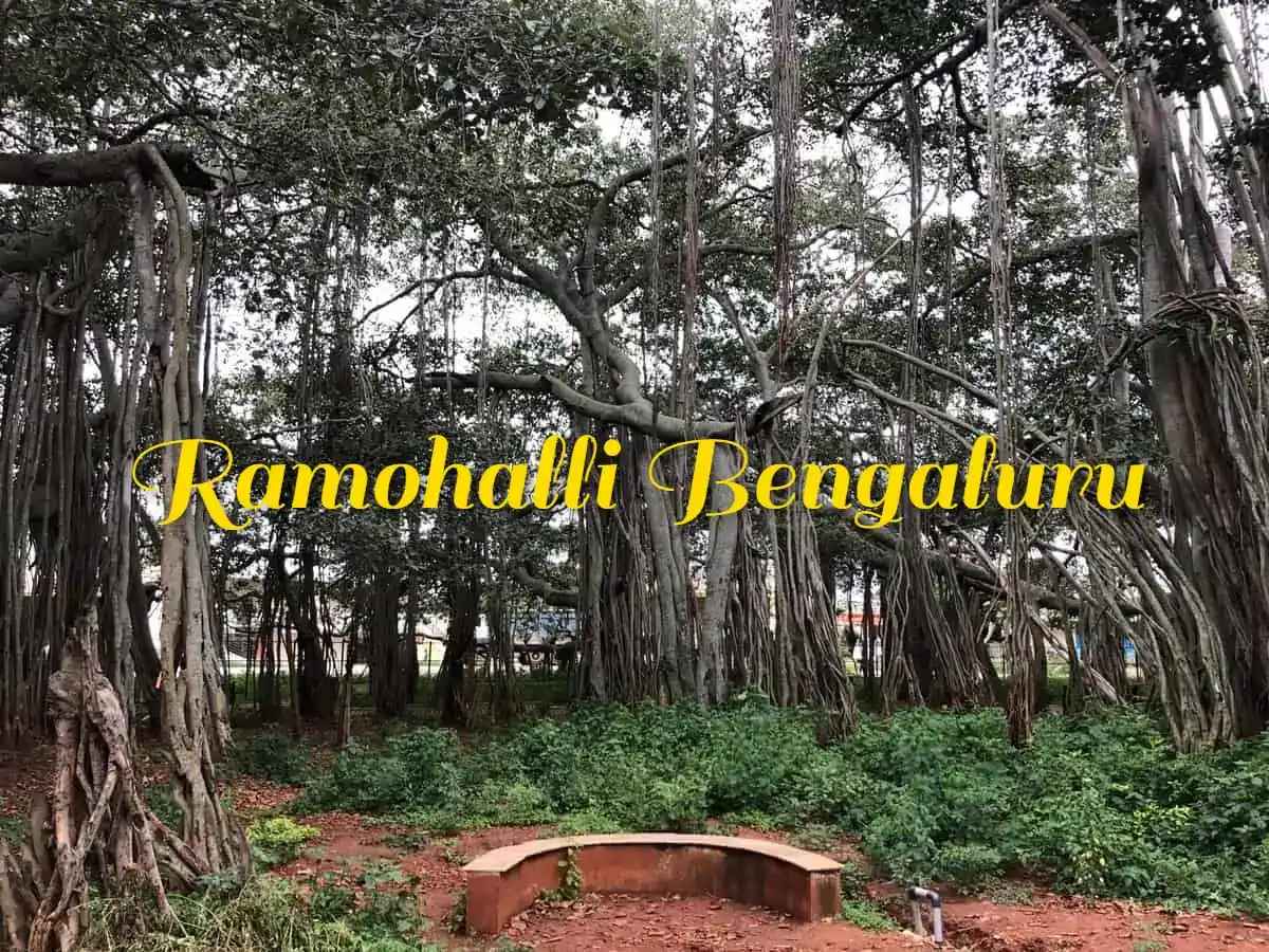 Ramohalli Bengaluru – Nature, Heritage & Serenity