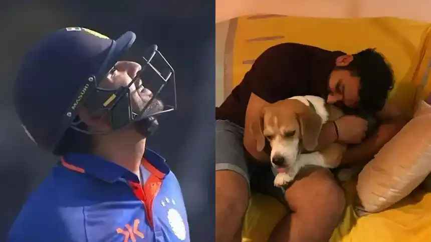 Pet-Friendly Environment