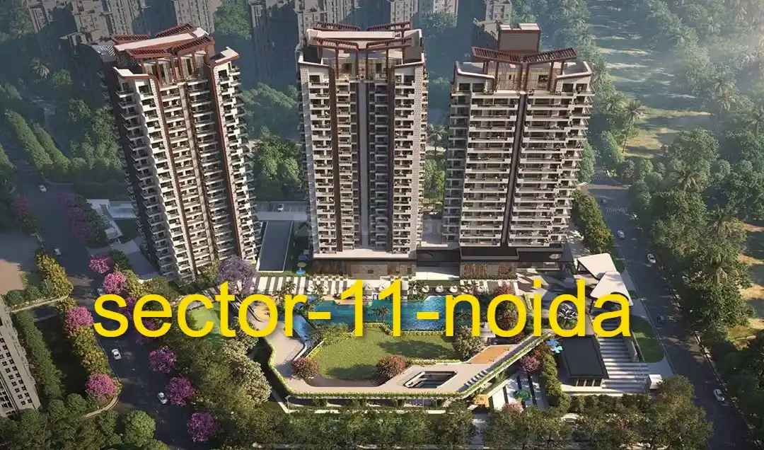 Top Residential Options in Sector 11 Noida