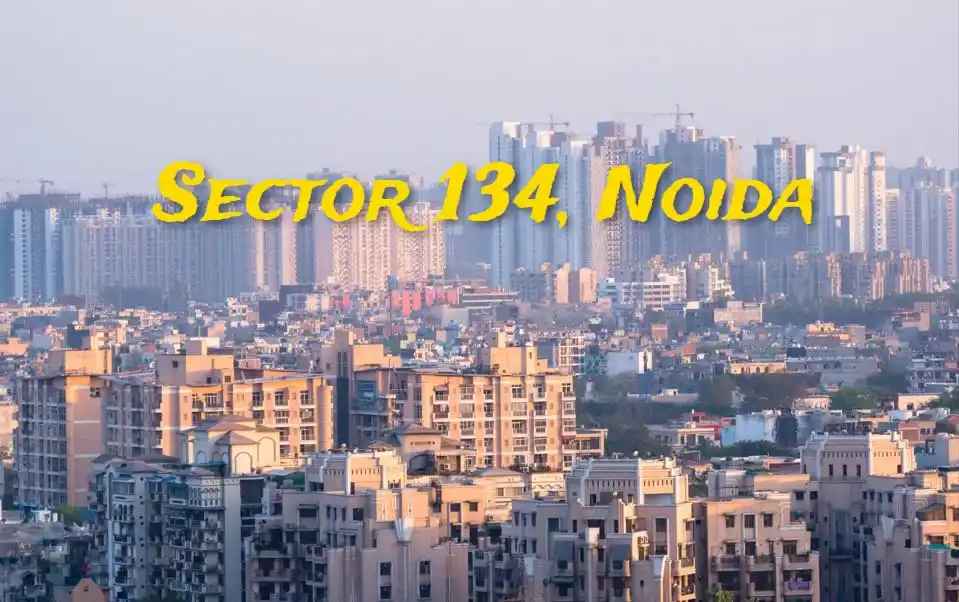 Sector 134 Noida – Real Estate and Connectivity