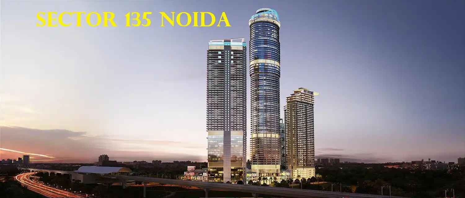 Sector 135 Noida Real Estate Overview