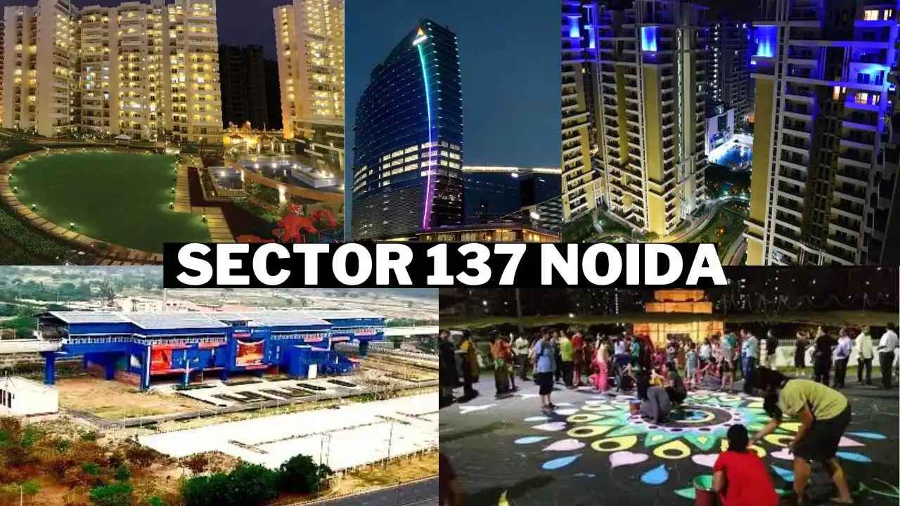 Sector 137, Noida: Prime Location Overview