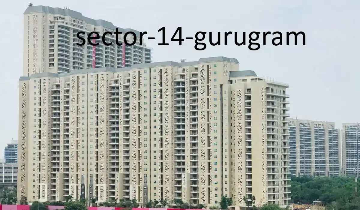 Sector 14 Gurgaon | Residential and Commercial Hub