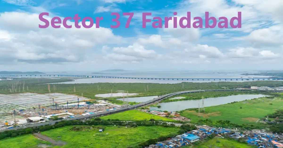 Sector 37 Faridabad locality guide