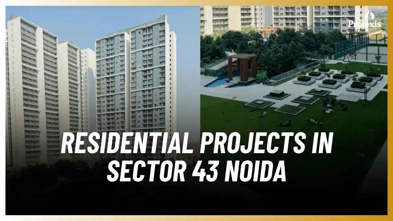 Sector 43 Noida Best Residential Area Insights