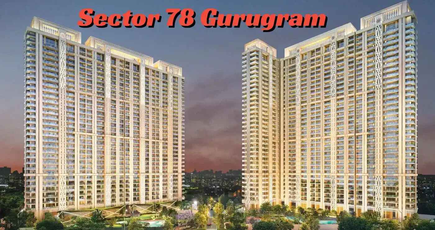 Sector 78, Shikohpur, Gurugram Locality Overview