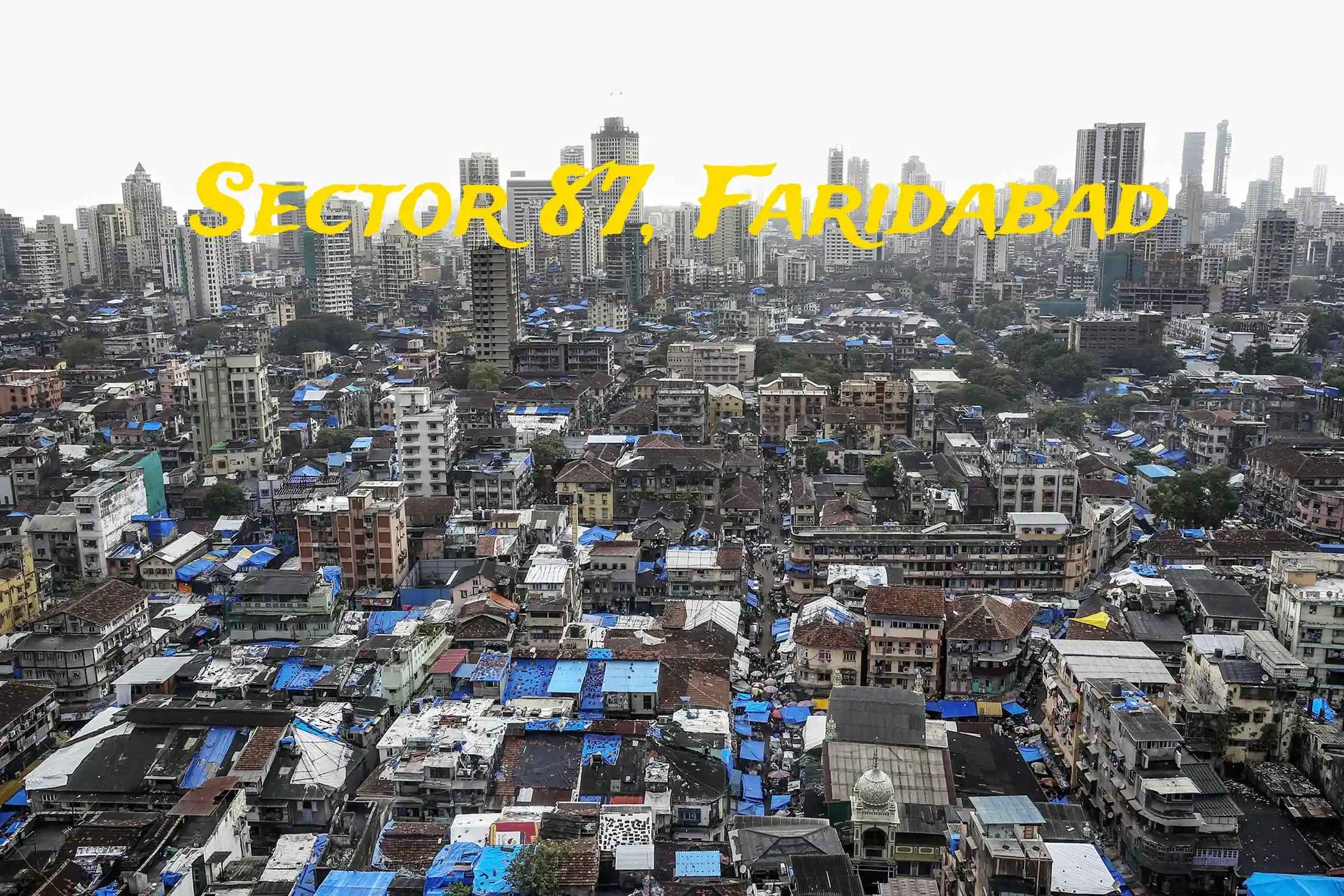 Sector 87 Faridabad Locality Overview and Connectivity
