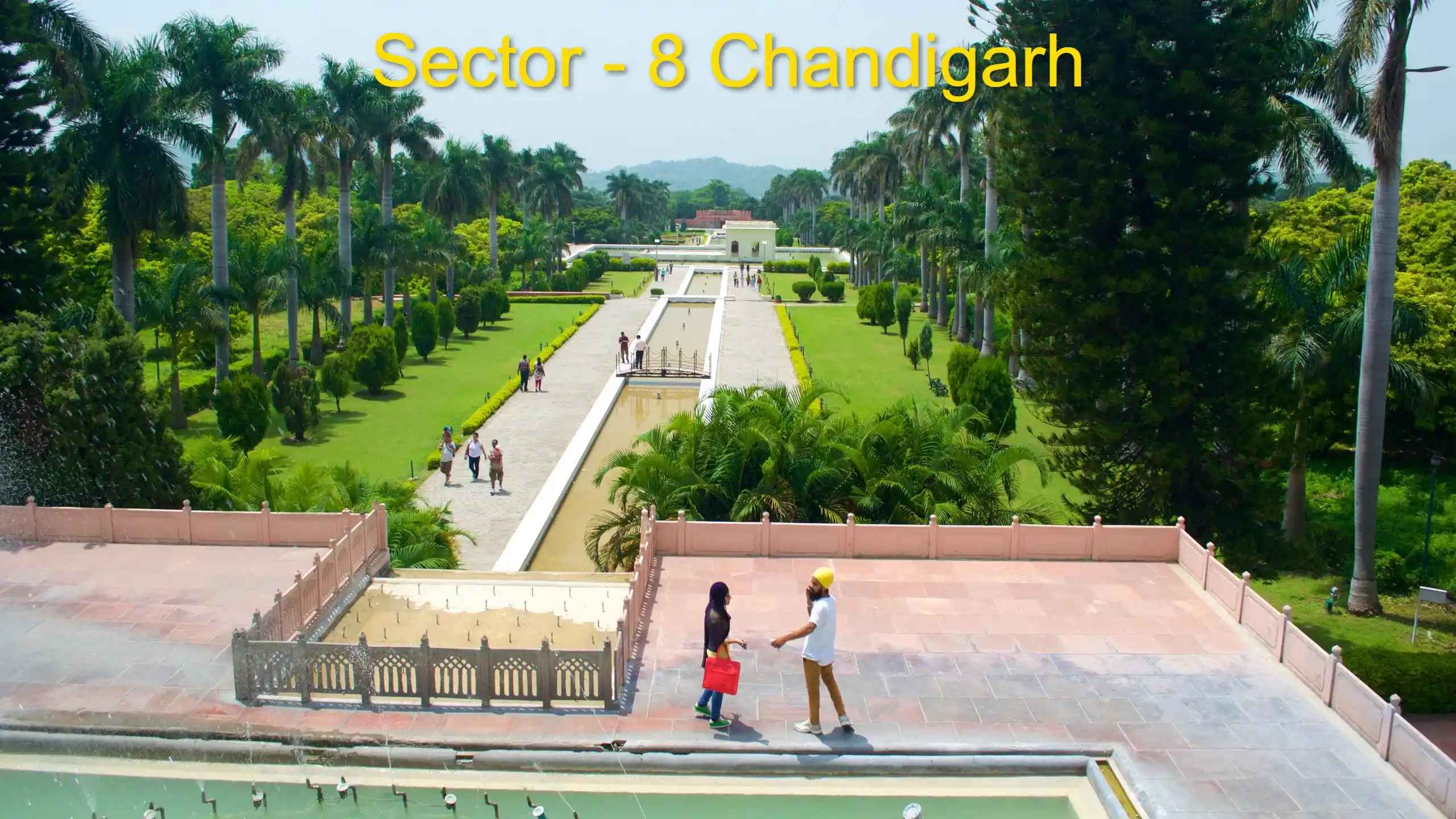 Sector 8 Chandigarh | Premium Lifestyle & Connectivity