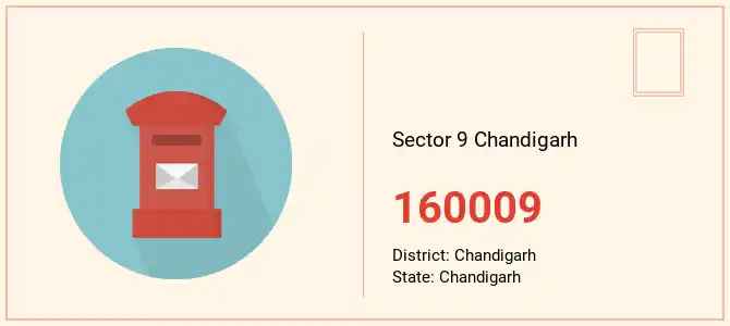 Sector 9, Chandigarh - Locality Overview