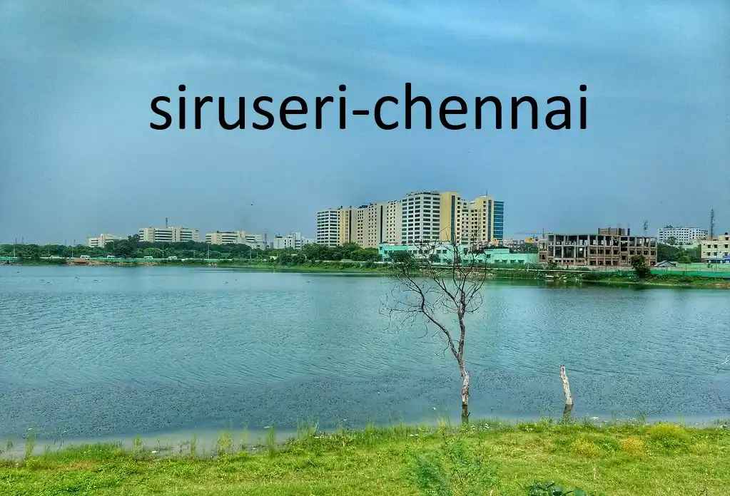 Siruseri, Chennai: SIPCOT IT Park Homes and Property Overview